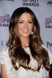th_98552_celebrity_paradise.com_TheElder_KateBeckinsale41_122_448lo.jpg